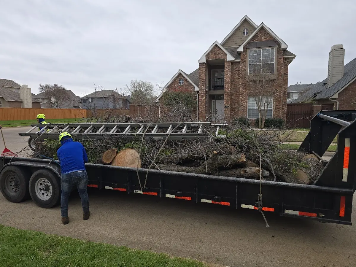 Expert Lot Clearing with proper safety equipment in Fillmore